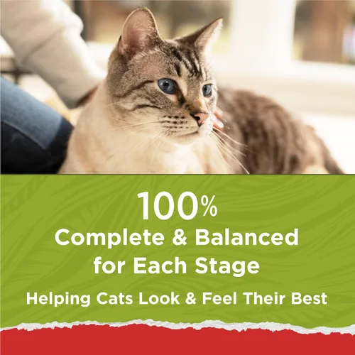 Miniatura 15 de Purina Cat Chow Naturals - Alimento seco para gatos con vitaminas, minerales y nutrientes añadidos, Naturals Original - Bolsa de 13 libras