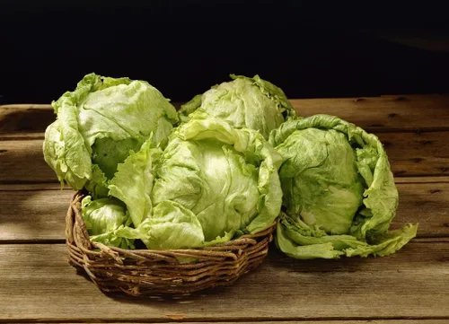 Miniatura 3 de Semillas Iceberg Lechuga Verde Crisphead Buttercrunch No GMO Heirloom