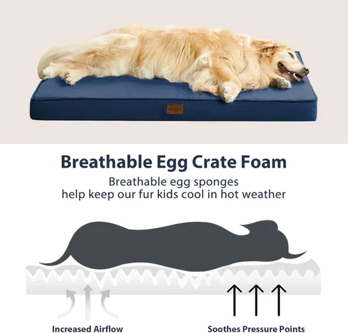 Miniatura 5 de BFPETHOME Camas para Perros de Exterior para Perros Grandes, Cama Impermeable para Perros Medianos, Grandes y Extra Grandes, Cama Ortopédica