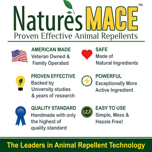 Miniatura 8 de Nature’s MACE Rabbit Mace, repelente de conejos para exteriores, 1 galón de concentrado, cubre 2 acres, aerosol disuasorio de conejos para césped