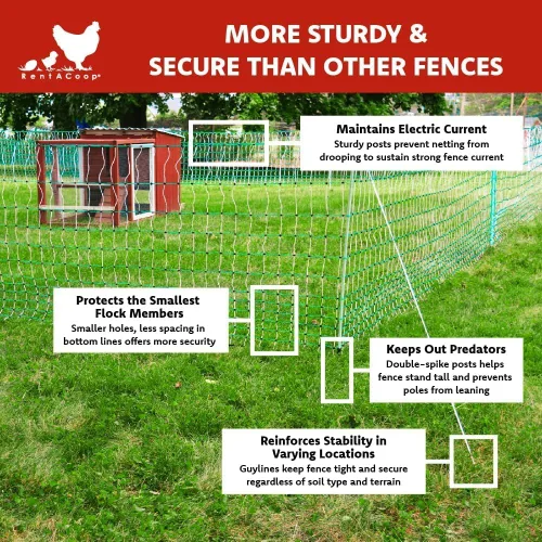 Miniatura 5 de RentACoop Valla eléctrica de red para aves de corral, recinto eléctrico para aves de corral para pollos, patos, pavos - Adecuado para pollos de 4