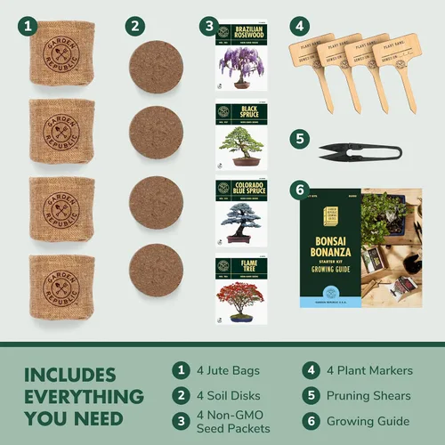 Miniatura 3 de Kit de principiantes de semillas de árbol Bonsai, Mini juego de cultivo de plantas Bonsai, 4 tipos de semillas, macetas, tijeras de podar