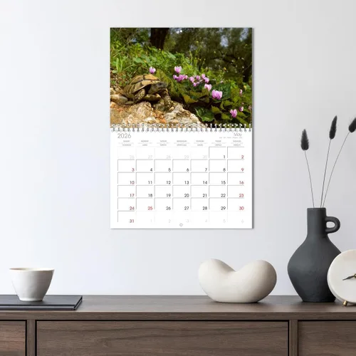 Miniatura 3 de REPTILES (calendario mensual de pared 2022 11.7 x 16.3 in (abierto)