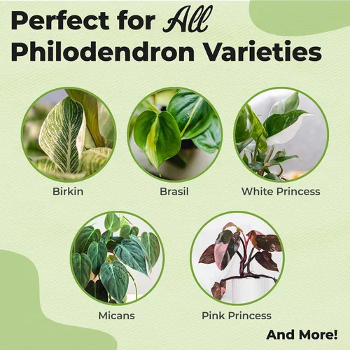Miniatura 2 de Perfect Plants - Niebla foliar de filodendro lista para usar Alimento vegetal de interior para el crecimiento del follaje Mezcla equilibrada