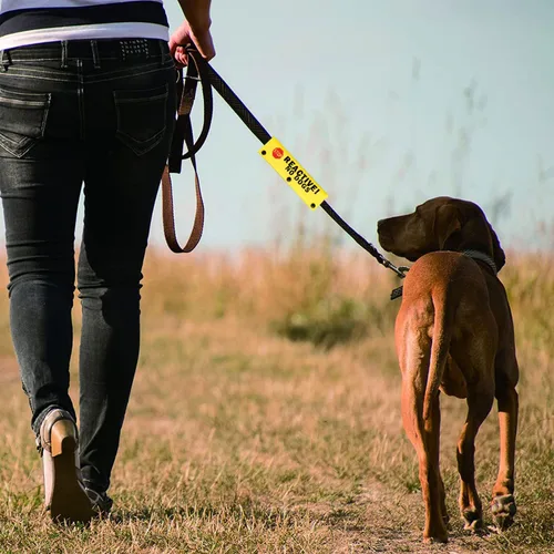 Miniatura 7 de Divertida correa para perro reactiva sin perros, correa envolvente para perro, regalo de cumpleaños para mascotas (Reactive No Dogs-YE Sleeve)