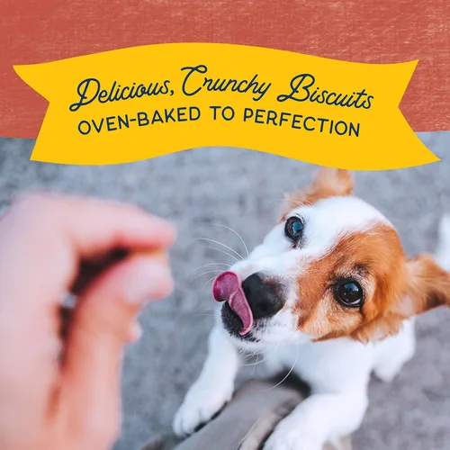 Miniatura 5 de Natural Balance Premios de Ingredientes Limitados Crujientes Galletas, Bocadillos para Perros de Tamaño de Mordida Sin Granos para Perros de Raza