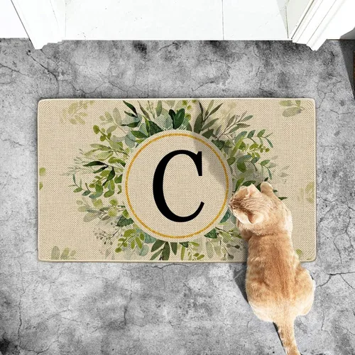 Alfombrillas personalizadas con apellido familiar, 24 x 16 pulgadas, antideslizantes, para entrada y hogar, felpudos de bienvenida para interiores y