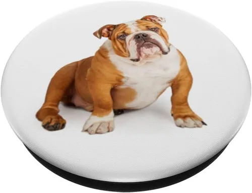 Miniatura 2 de PopSockets Grip and Stand for Phones and Tablets - Chubasquero con diseño de bulldog inglés