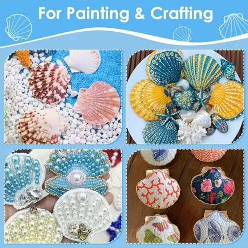 Miniatura 3 de 60 conchas de vieira grandes para manualidades, conchas de almeja de 4 a 5 pulgadas para decoupage playa, conchas marinas blancas naturales a granel