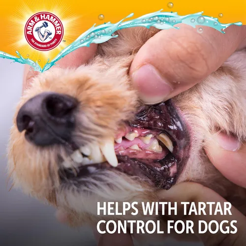 Miniatura 8 de Arm & Hammer Complete Care - Aerosol dental para perros, sabor a menta, ambientador de aliento de perro sin escobillas con bicarbonato de sodio