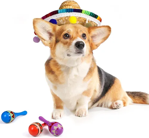 Miniatura 6 de Honoson 12 piezas de maracas de madera para fiesta, 6 mini sombreros de Cinco de Mayo, sombrero mexicano de copa para decoración de fiesta