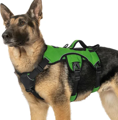 Miniatura 54 de rabbitgoo - Arnés para perro a prueba de fugas, arnés para mascotas acolchado suave de cuerpo completo, chaleco reflectante ajustable sin tirones