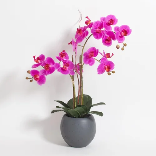Miniatura 11 de CG Hunter Planta de orquídea sintética con suculentas, soporte de exhibición de flores artificiales de alta calidad para interiores de 23 pulgadas