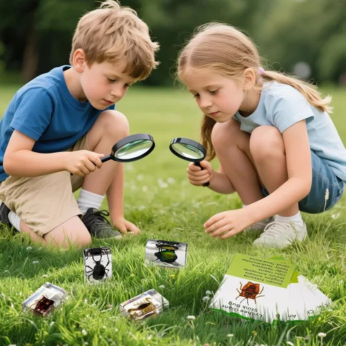 Miniatura 7 de Juego de 12 especímenes de insectos, taxidermia de insectos real en muestras de resina con lupa y tarjetas de información, insectos educativos