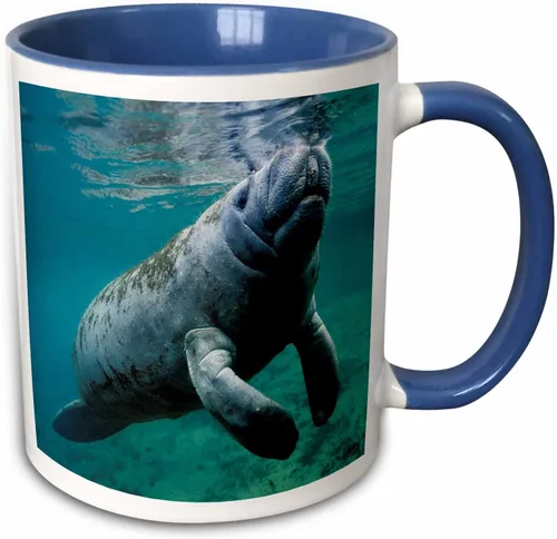 Miniatura 9 de 3dRose, Taza negra bicolor de 11 oz, negro/blanco