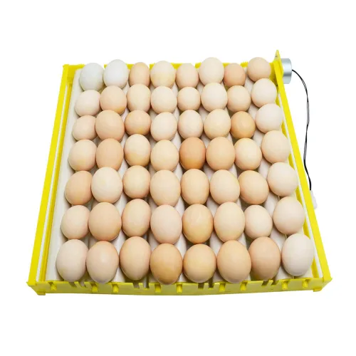 Miniatura 8 de HBtree - Bandeja de huevos para incubadora multifunción automática para pollos/patos/pájaros/aves de corral (7 tubos)
