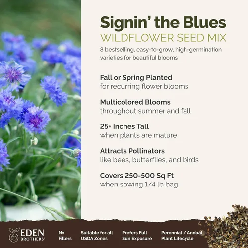 Miniatura 2 de Eden Brothers Singin the Blues - Semillas mixtas de flores silvestres para plantar, 1/4 libras, más de 120,000 semillas con lino azul, altramuces