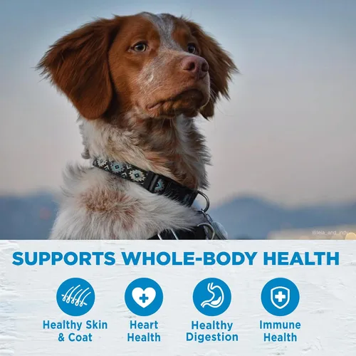 Miniatura 3 de Wellness Simple Natural - Alimento seco para perros con ingredientes limitados, sin granos, fácil de digerir para estómagos sensibles, apoya la piel