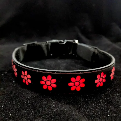 Miniatura 10 de Collar Super Dog para Perros (1, 1)