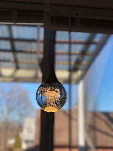 Miniatura 4 de CHYING Lámpara colgante dorada de cristal LED Iluminación colgante de medusa lágrima luces colgantes mini luces colgantes para isla de cocina, baño