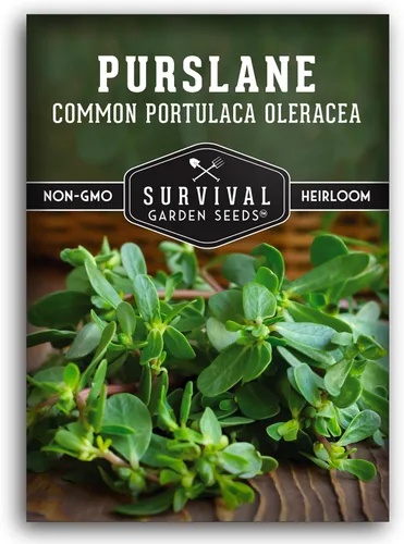 Semillas de verdolaga para plantar, verde comestible Portulaca Oleracea Verdolagas, semillas de vegetales sin OMG para jardín en casa, semillas de