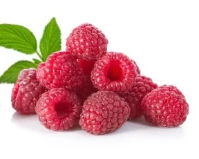 Fruta congelada fresca de Northwest Wild Foods - bayas silvestres orgánicas, naturales, para una dieta saludable y antioxidante. Ideal para batidos,