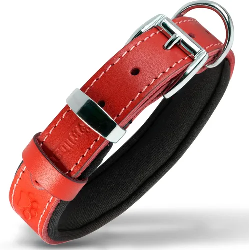 Miniatura 10 de Filbert Collar de cuero para perro, collar de cuero genuino para perros pequeños, estampado de patas en relieve con hebilla, grano completo curtido
