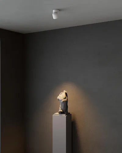 Miniatura 2 de Aisilan Luz LED de Techo Blanca para Interiores 9W Luminaria Montada en Superficie con Foco Giratorio de 360°, Regulable Blanco Cálido 3000K CRI 97+