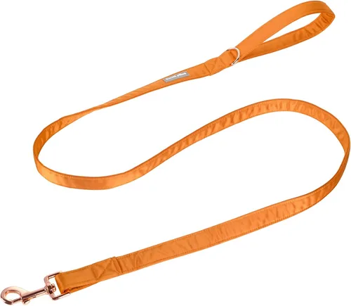 Miniatura 11 de Lionet Paws Collar de perro con pajarita, cómodo collar de seda para perro con pajarita desmontable para perros grandes, cuello de 16 a 24 pulgadas