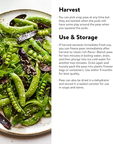 Miniatura 4 de Burpee Sugar Snap Pea Seeds 300 semillas