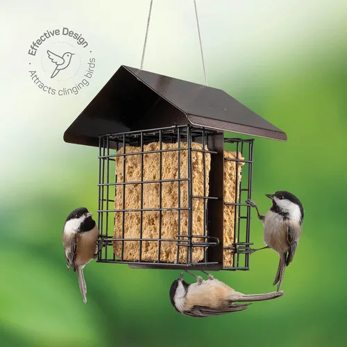 Miniatura 3 de Comedero para pájaros de sebo para exteriores [doble capacidad] Comedero para pájaros silvestres con techo de metal colgante, comedero de sebo