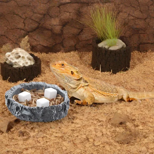 Miniatura 4 de DQITJ 24 piezas de piedra de calcio natural para reptiles de tortuga, tortuga, lagarto, rana, camaleón, reptiles
