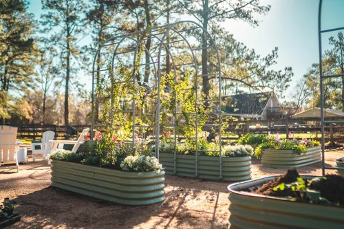 Miniatura 9 de Vego garden Kit de cama de jardín elevada, 17 pulgadas de alto, 9 en 1, 8 x 2 pies, maceta elevada de metal para verduras, flores, jardinera