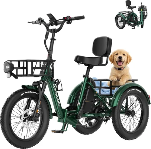 MOONCOOL Triciclo eléctrico plegable para adultos, E-Trike de aluminio de 20 pulgadas con función de marcha atrás y opciones de largo alcance, Plata