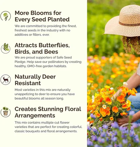 Miniatura 4 de Eden Brothers Semillas mixtas de flores silvestres de área seca para plantar, 1 libra, más de 480,000 semillas con cosmos, margarita africana, lino