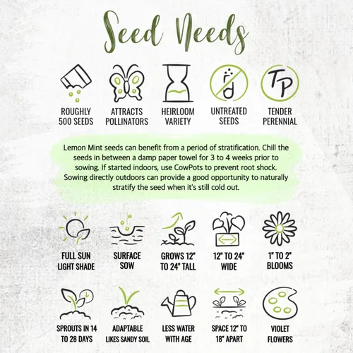Miniatura 8 de Seed Needs Semillas de limón y menta para plantar hierbas anuales sin OMG, 1 paquete