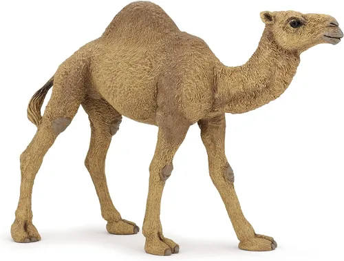 Papo - Figura de dromedario realista - A partir de 3 años - Colección Wild Life - Juego educativo de animales del desierto - Juguete de idea de