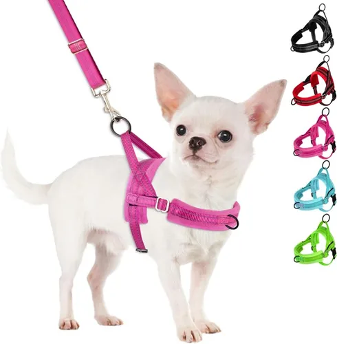 Miniatura 14 de SlowTon - Juego de arnés y correa para perros pequeños sin tirones, chaleco suave ajustable para cachorros para el cuello y el pecho, arnés