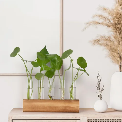 Miniatura 4 de Estaciones de propagación YIBOT, terrario de plantas con soporte de madera, regalos de jardinería de cumpleaños para mujeres, madres amantes