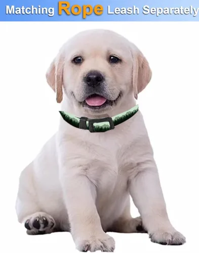 Miniatura 3 de Collar de perro, lindo collar de perro para perros pequeños, medianos y grandes, collares suaves personalizados ajustables para mascotas con hebilla