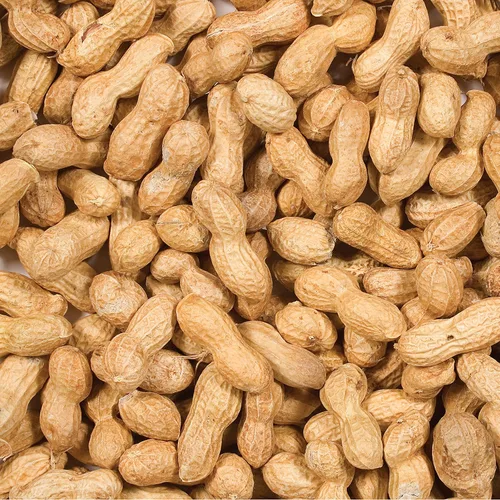 Miniatura 2 de Wild Delight Inshell Peanuts, 5 libras y Wagner's 62004 Eastern Regional - Alimento para aves silvestres, bolsa de 20 libras