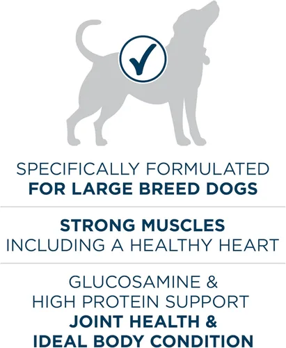 Miniatura 5 de Purina ONE Plus - Fórmula seca de alimento para perros adultos de raza grande, rico en proteínas, sabor natural de pollo – bolsa de 40 libras