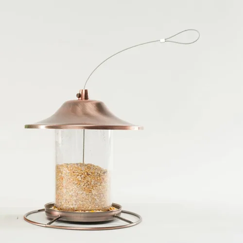 Miniatura 5 de Wagner's 18542 Cracked Corn - Alimento para aves silvestres, bolsa de 10 libras