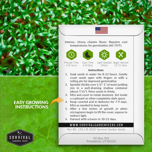 Miniatura 2 de Semillas de cilantro microgreen para germinar – Semillas de cilantro de reliquia sin OMG para microgreens frescos y sabrosos – Cultivo