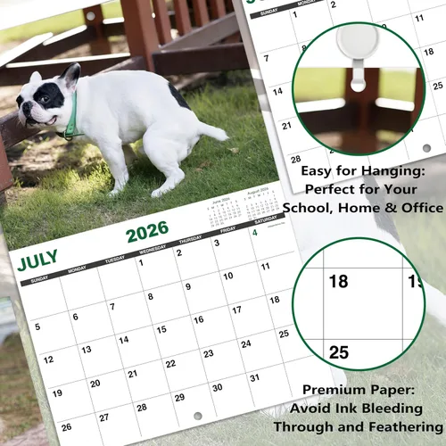 Miniatura 4 de Gag Gifts - Calendario 2021, calendario de pared, perros haciendo popo, para regalos de broma, enero a diciembre del 2021, 28 x 43.18 cm