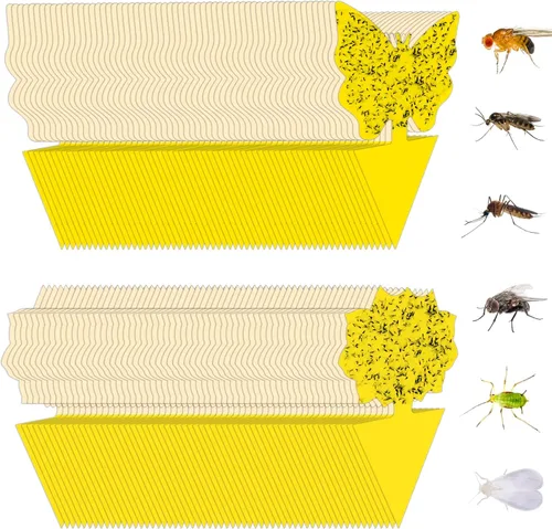 Pack de 120 trampas adhesivas para moscas de la fruta, trampas pegajosas para interiores para matar mosquitos y mosquitos voladores, trampa para