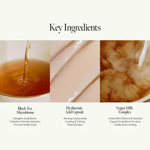 Miniatura 3 de Champú Vegano Nutritivo para el Cuero Cabelludo con Té Negro, Ácido Hialurónico y Aminoácidos para Fortalecer la Barrera del Cuero Cabelludo, Aroma