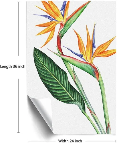 Miniatura 4 de Película esmerilada de colores hawaianos para ventana, privacidad, pintura tropical de un pájaro del paraíso flor sobre fondo liso, vidrio