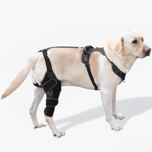 Miniatura 13 de Rodillera para perro con soporte ajustable – Recuperación de desgarros ACL y CCL, estabilización poscirugía, ayuda de movilidad para piernas