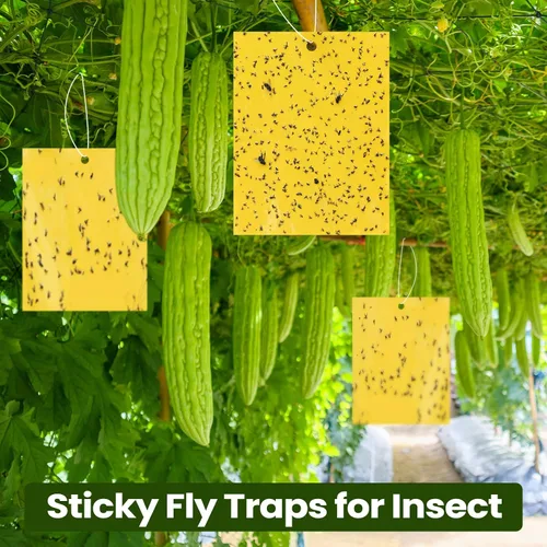 Miniatura 3 de Qualirey 500 trampas adhesivas amarillas de 6 x 8 pulgadas para mosquitos, trampas adhesivas de doble cara para interiores y exteriores, atrapa
